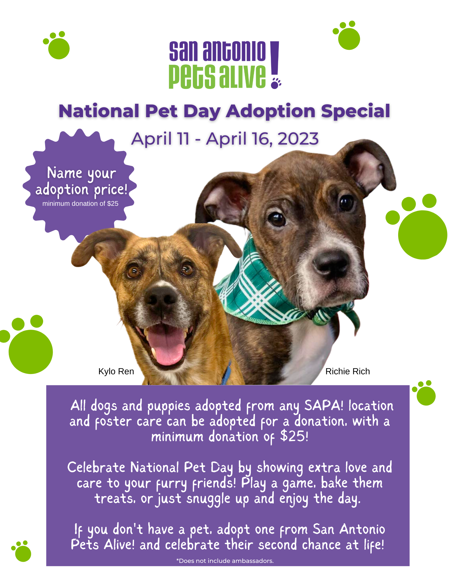 National Pet Day Adoption Special 